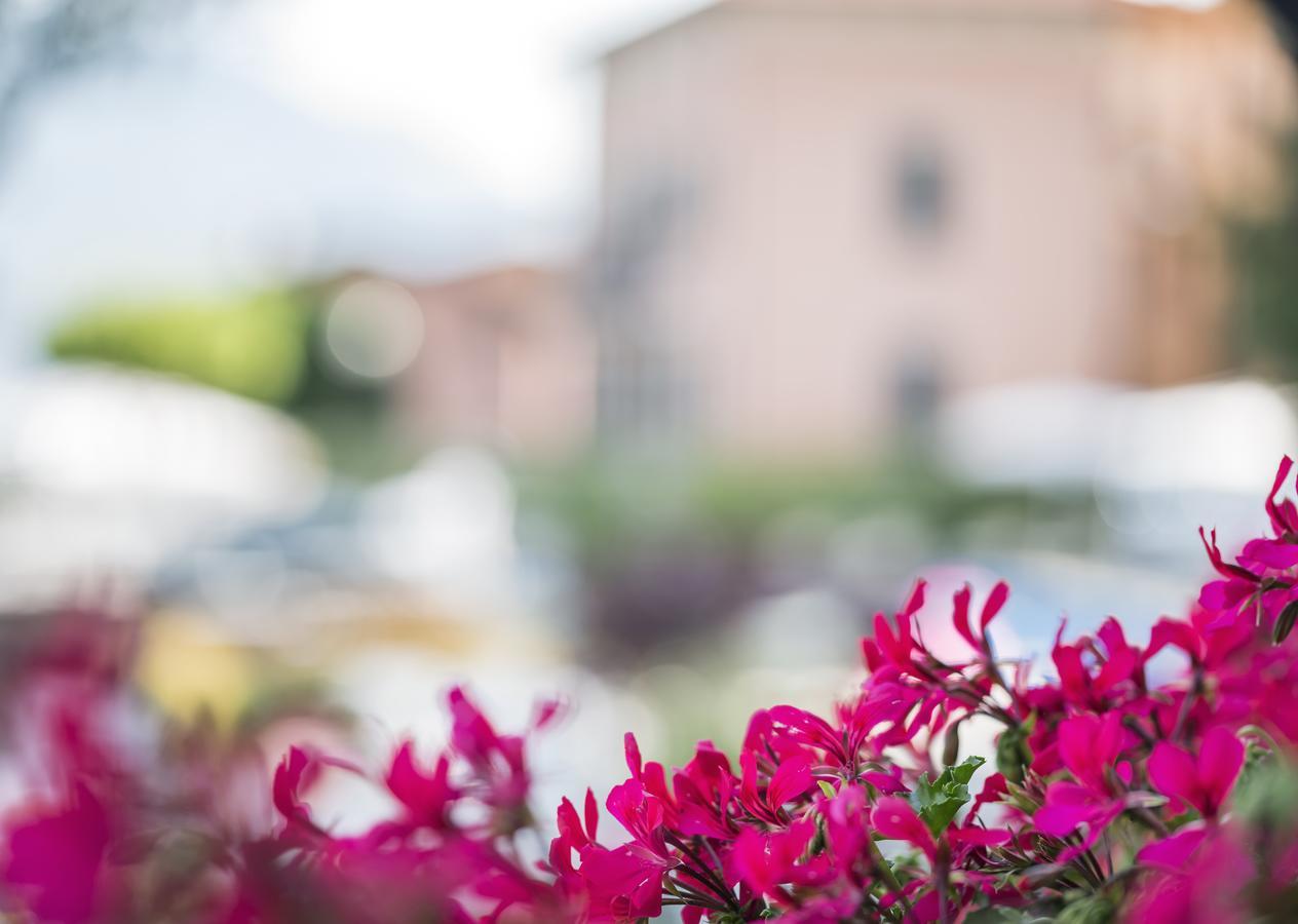 Hotel Crotto Del Misto Lezzeno Zewnętrze zdjęcie